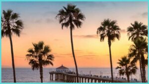Read more about the article Servicing South Bay and surrounding areas